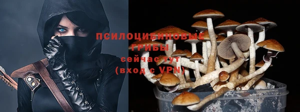 ALPHA PVP Вязьма