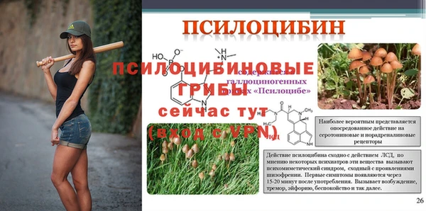 таблы Вяземский