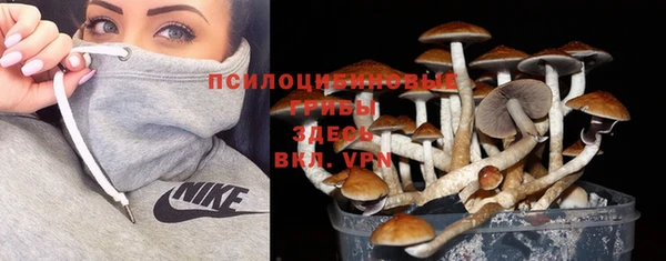 таблы Вяземский
